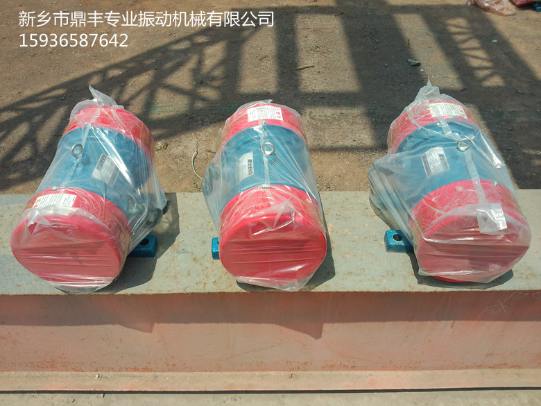 振動(dòng)電機(jī) (6)